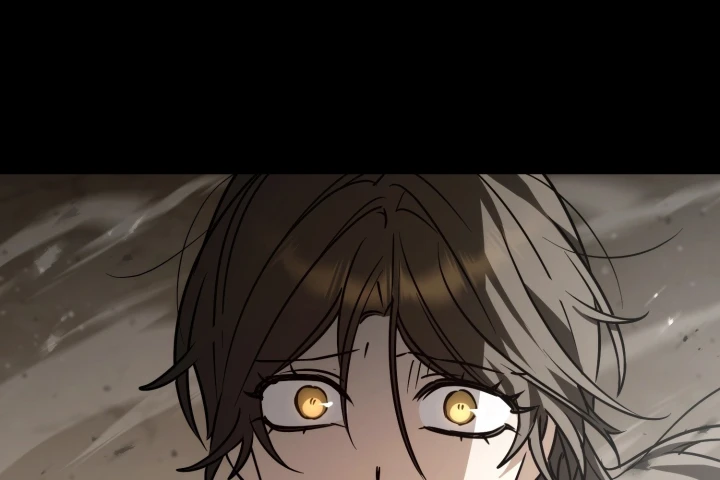 Đa Sắc Ma Pháp Sư Thiên Tài Chapter 69 - 146