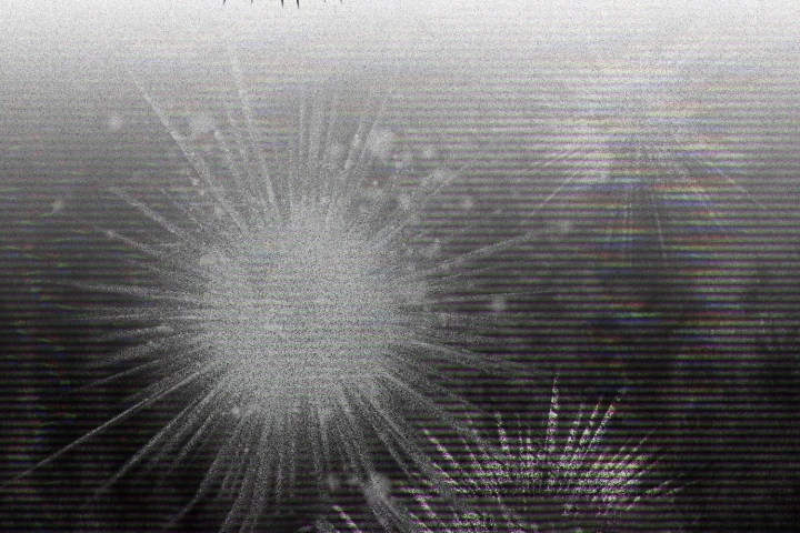 Đa Sắc Ma Pháp Sư Thiên Tài Chapter 69 - 207