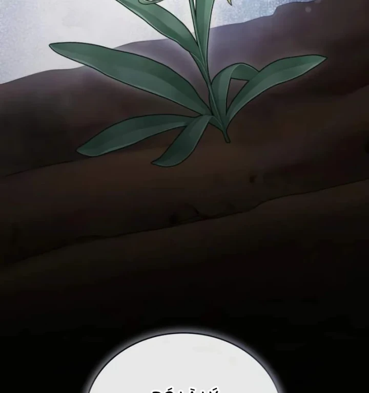 Đa Sắc Ma Pháp Sư Thiên Tài Chapter 70 - 14