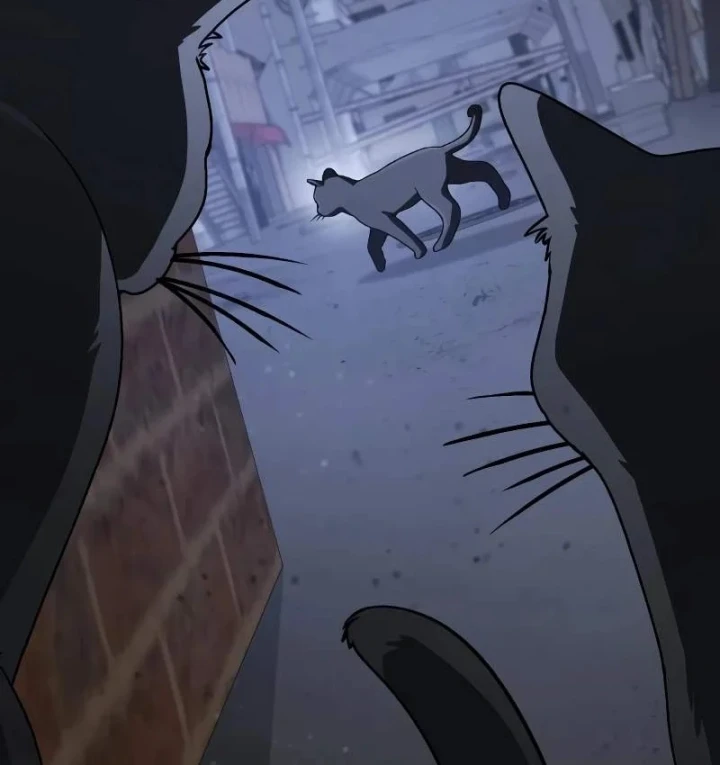 Đa Sắc Ma Pháp Sư Thiên Tài Chapter 73 - 4