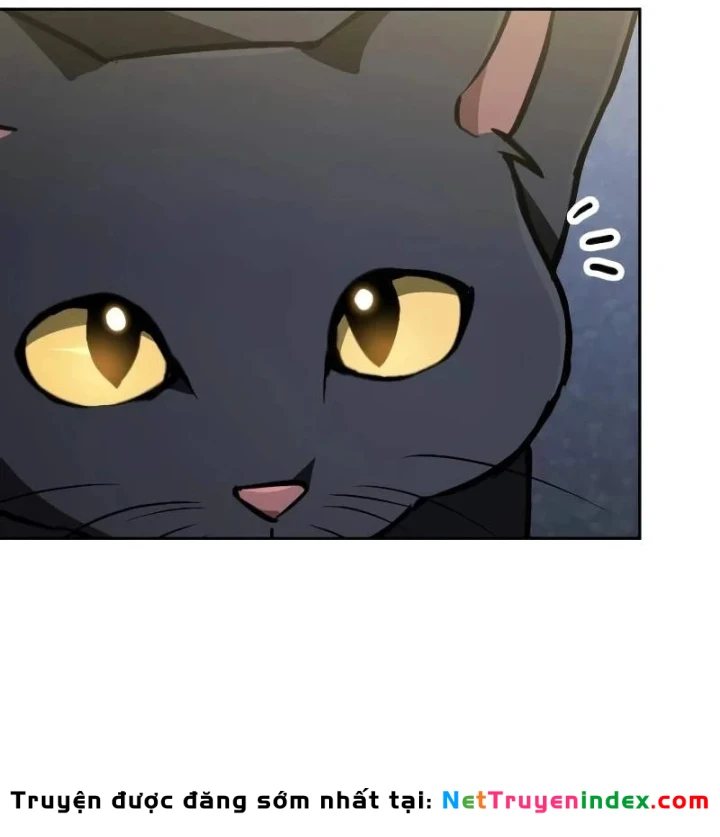 Đa Sắc Ma Pháp Sư Thiên Tài Chapter 73 - 6