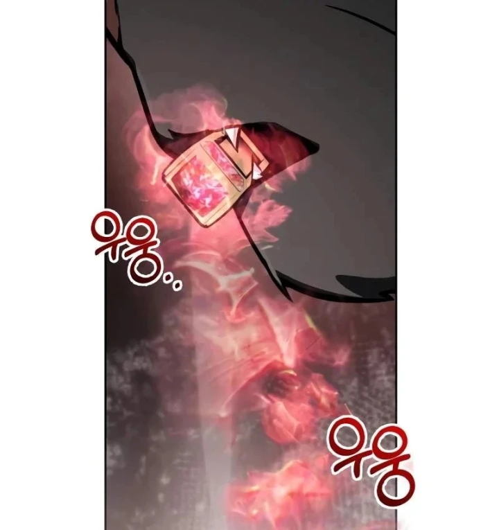 Đa Sắc Ma Pháp Sư Thiên Tài Chapter 73 - 11