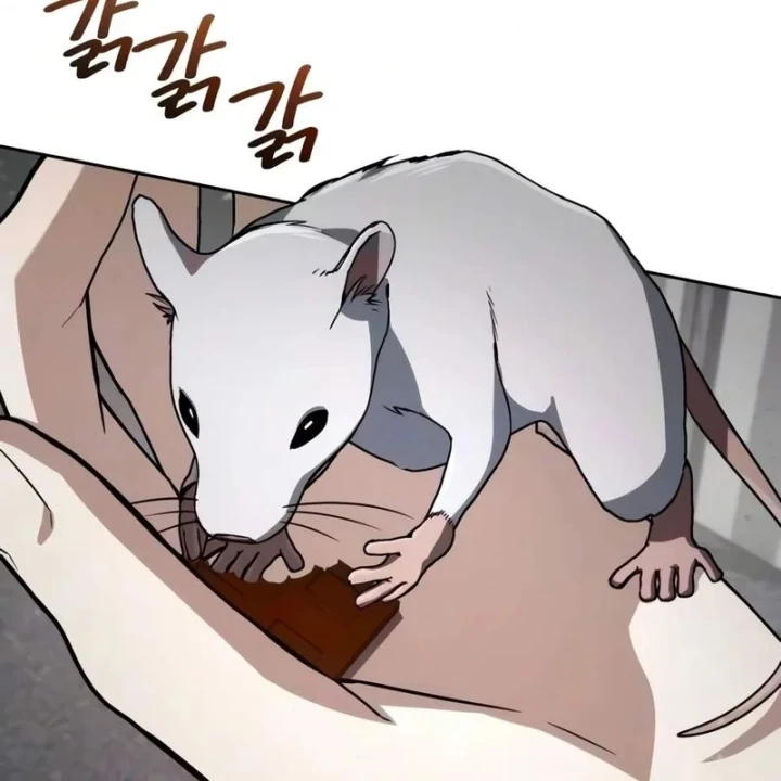 Đa Sắc Ma Pháp Sư Thiên Tài Chapter 76 - 29