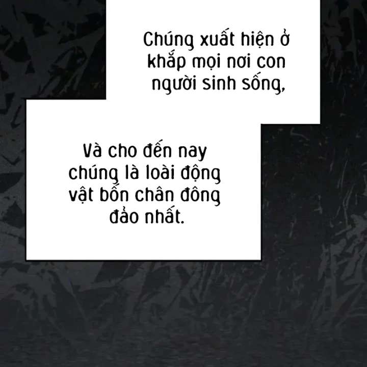 Đa Sắc Ma Pháp Sư Thiên Tài Chapter 76 - 45