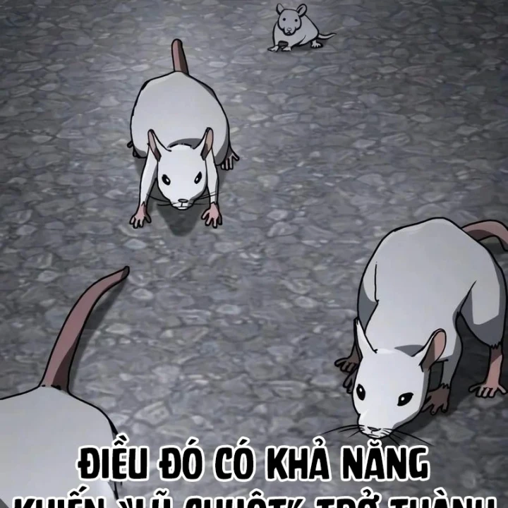 Đa Sắc Ma Pháp Sư Thiên Tài Chapter 76 - 47