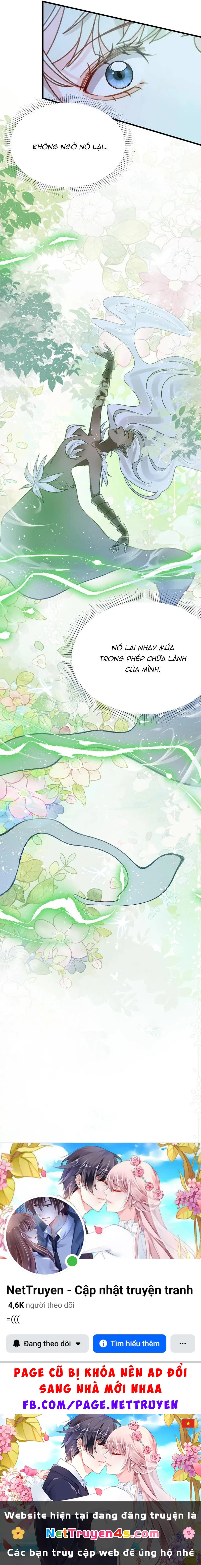 Ninita Yêu Dấu Chapter 114.1 - 5