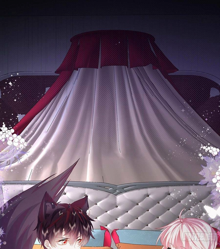 Ninita Yêu Dấu Chapter 3 - 15