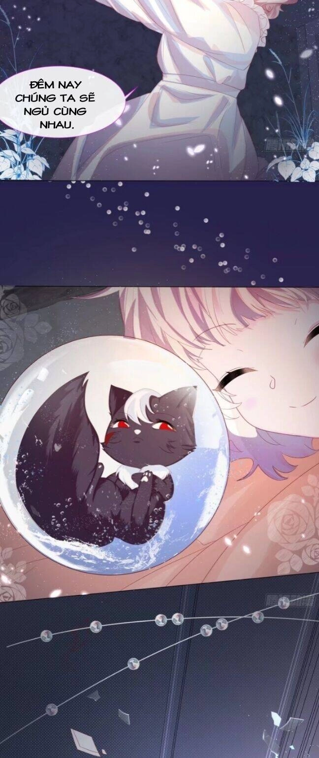 Ninita Yêu Dấu Chapter 4 - 12