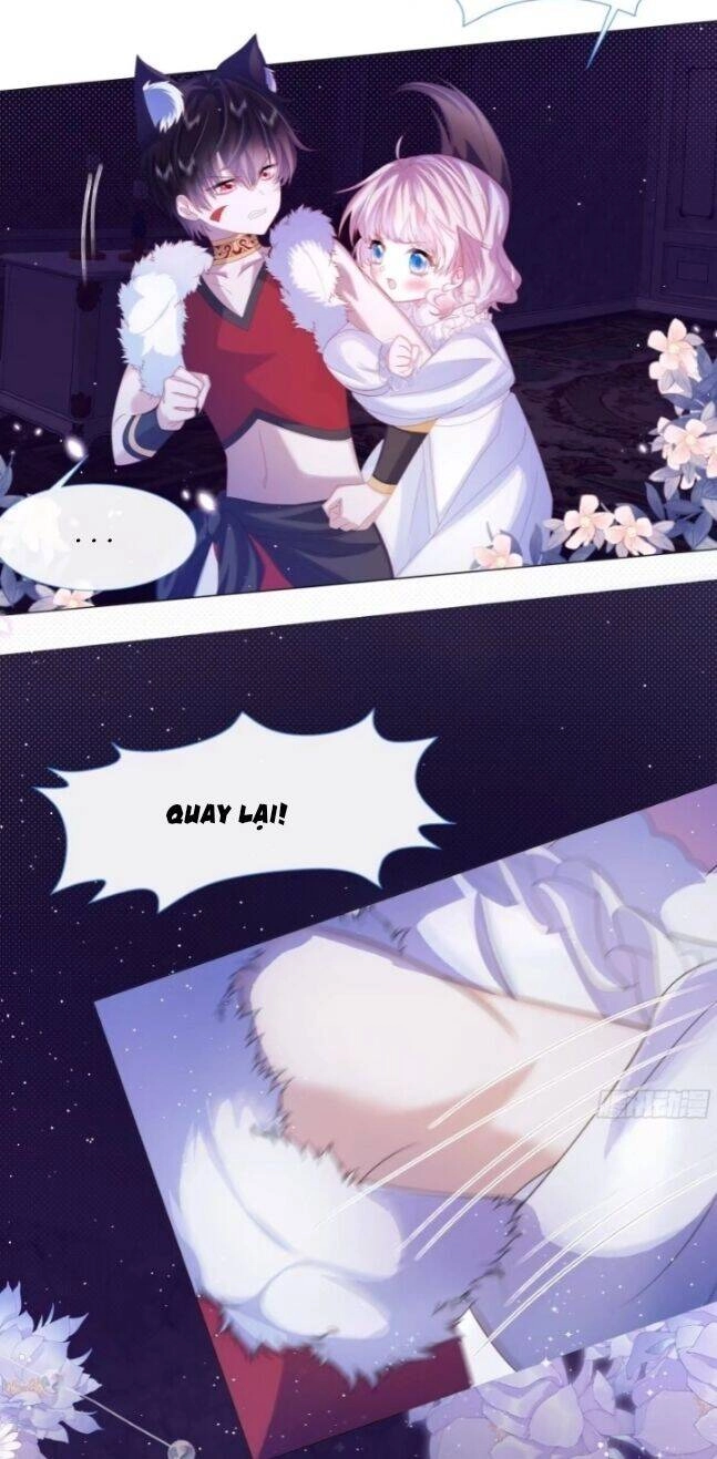 Ninita Yêu Dấu Chapter 4 - 20