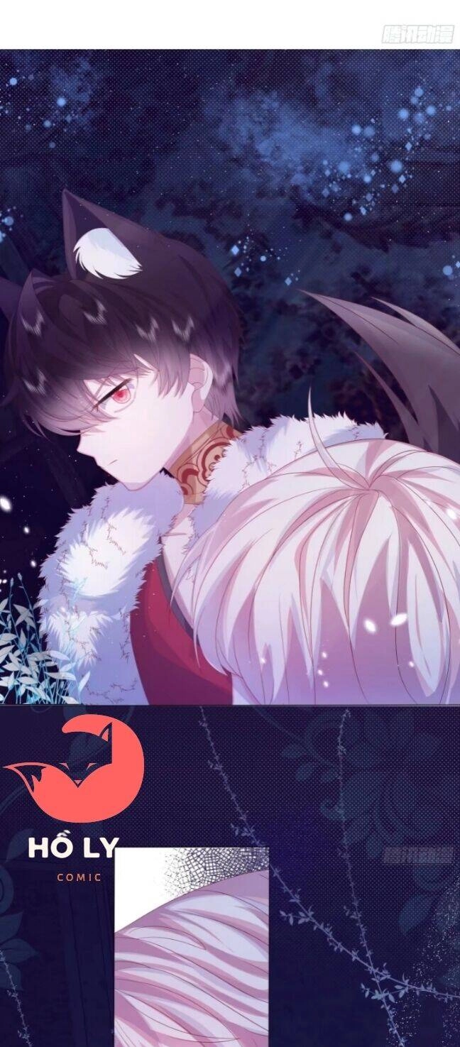 Ninita Yêu Dấu Chapter 4 - 23