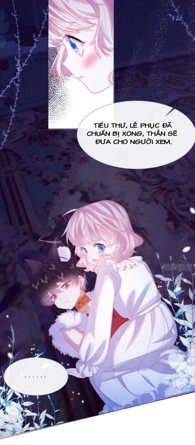 Ninita Yêu Dấu Chapter 4 - 24