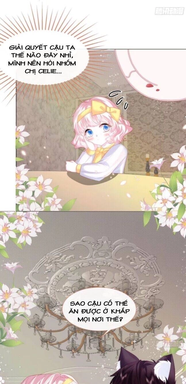 Ninita Yêu Dấu Chapter 5 - 29