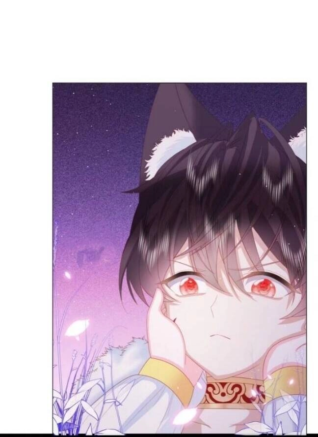 Ninita Yêu Dấu Chapter 6 - 8