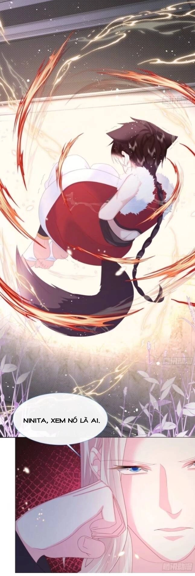 Ninita Yêu Dấu Chapter 6 - 15