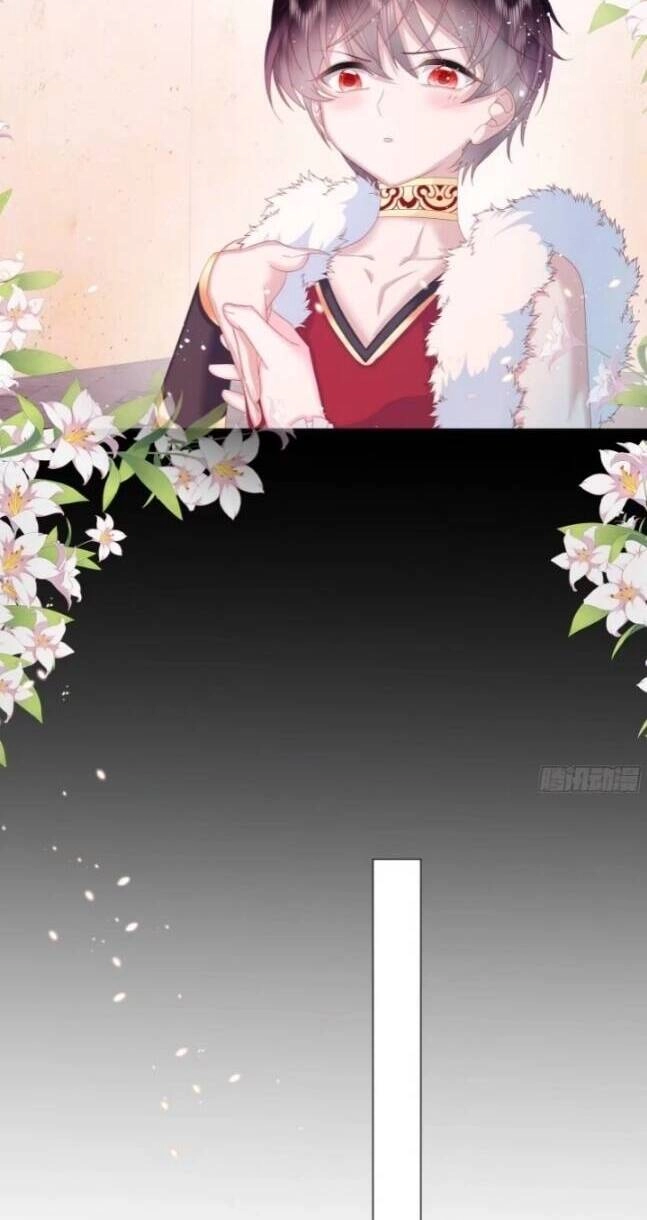 Ninita Yêu Dấu Chapter 8 - 13