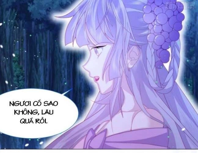 Ninita Yêu Dấu Chapter 12 - 10