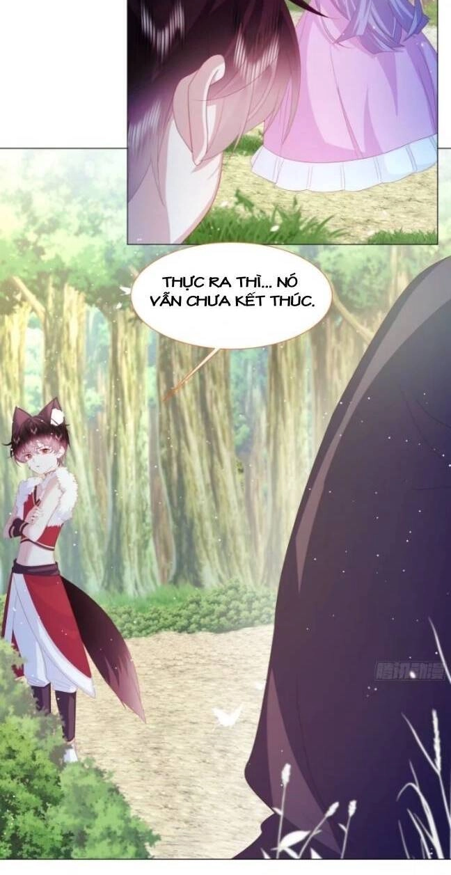 Ninita Yêu Dấu Chapter 13 - 13