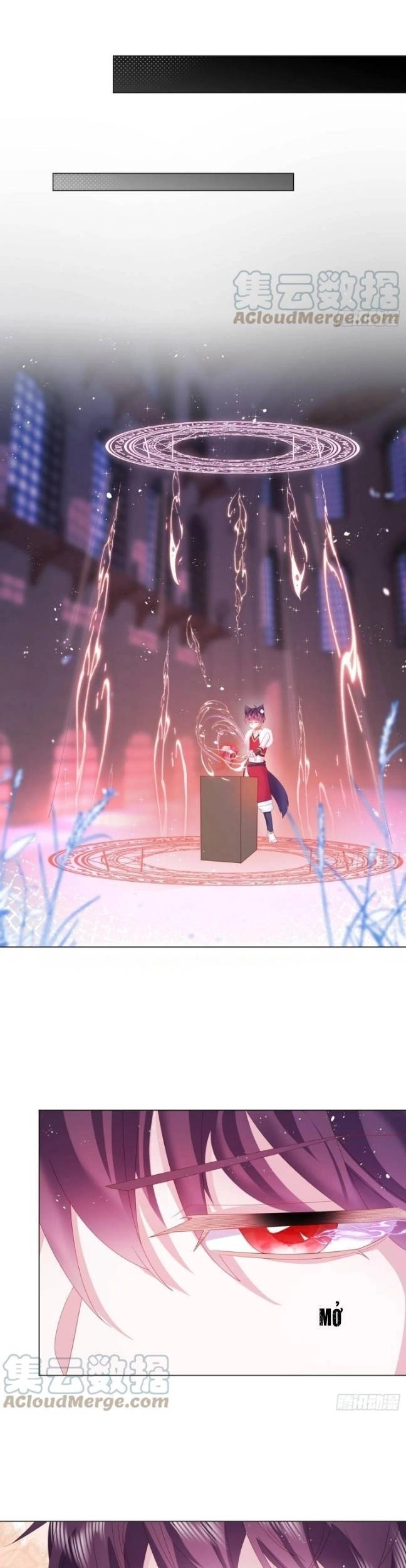 Ninita Yêu Dấu Chapter 16 - 8