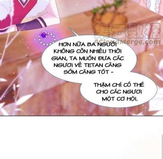 Ninita Yêu Dấu Chapter 17 - 6