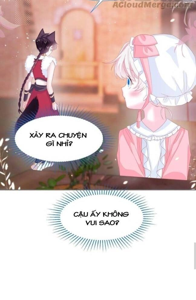 Ninita Yêu Dấu Chapter 17 - 12