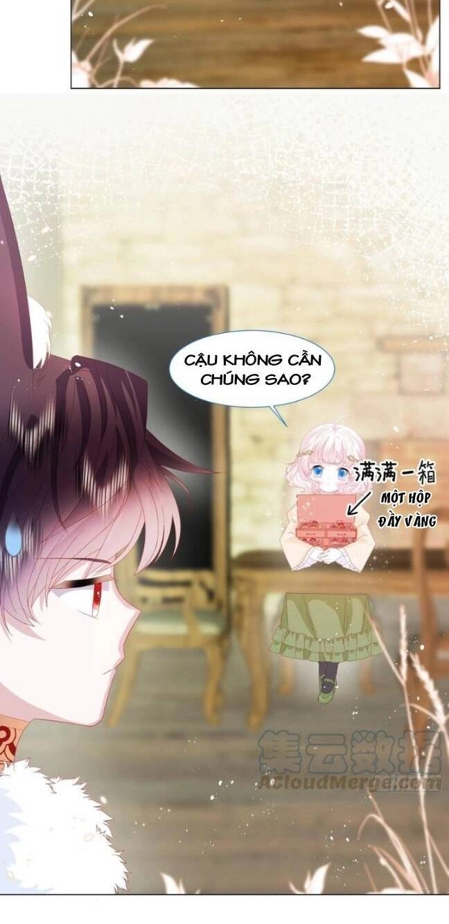 Ninita Yêu Dấu Chapter 17 - 14