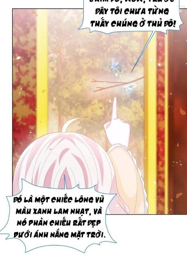 Ninita Yêu Dấu Chapter 17 - 22