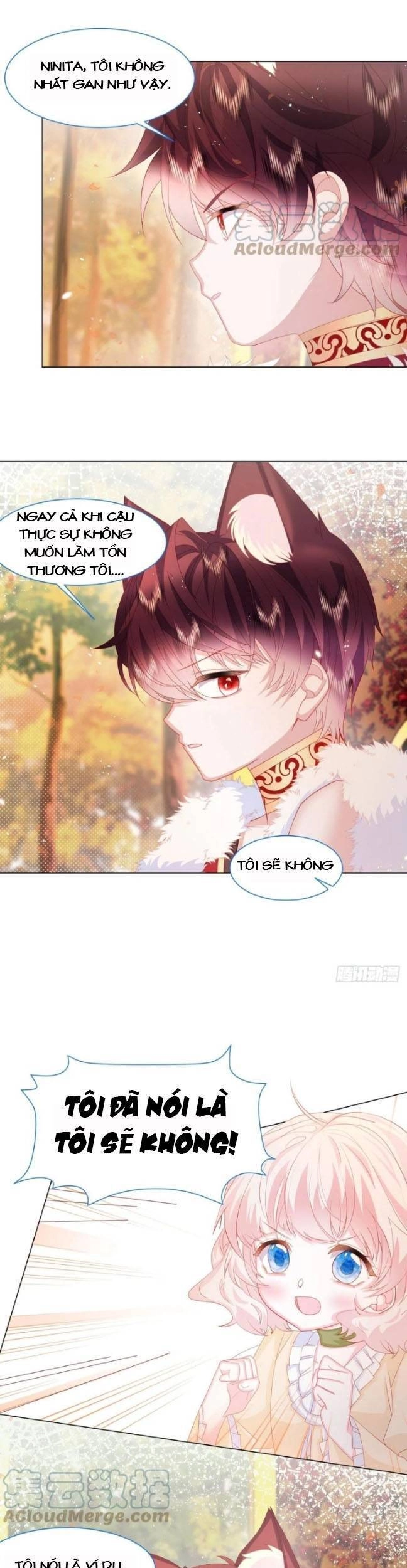 Ninita Yêu Dấu Chapter 18 - 5