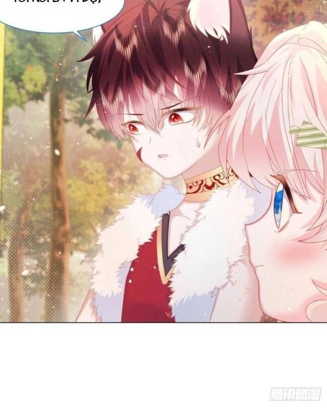 Ninita Yêu Dấu Chapter 18 - 6