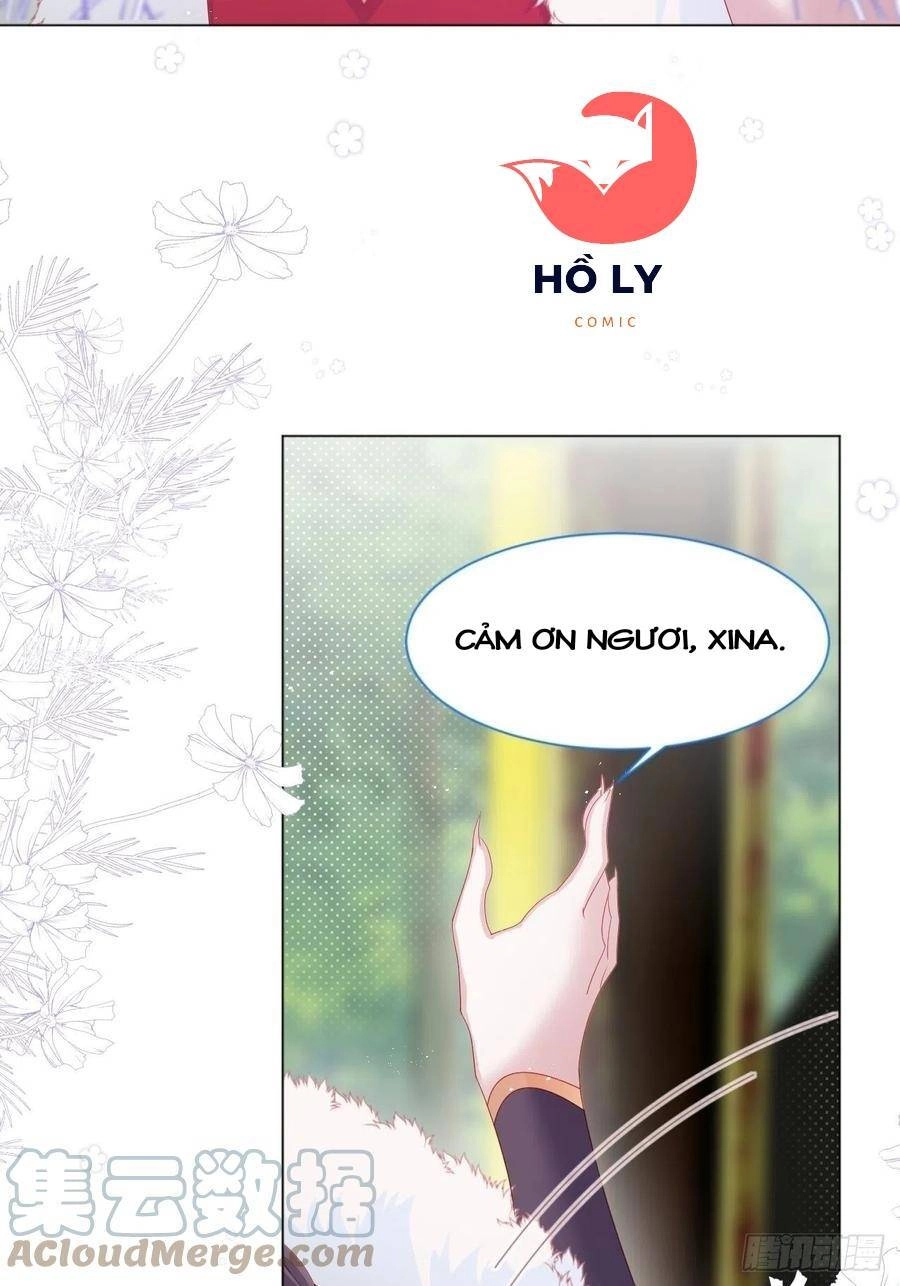 Ninita Yêu Dấu Chapter 19 - 15