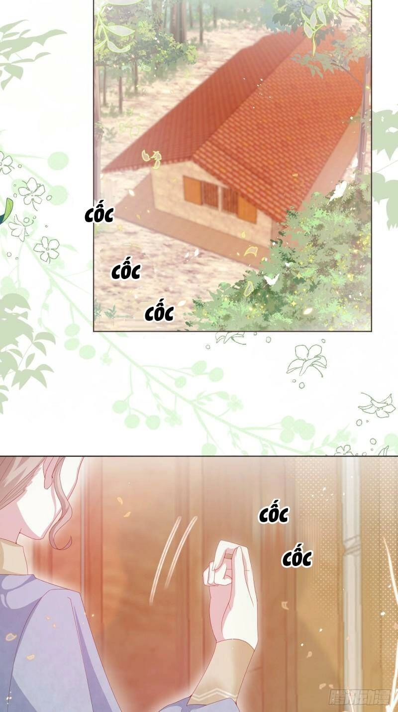 Ninita Yêu Dấu Chapter 22 - 11