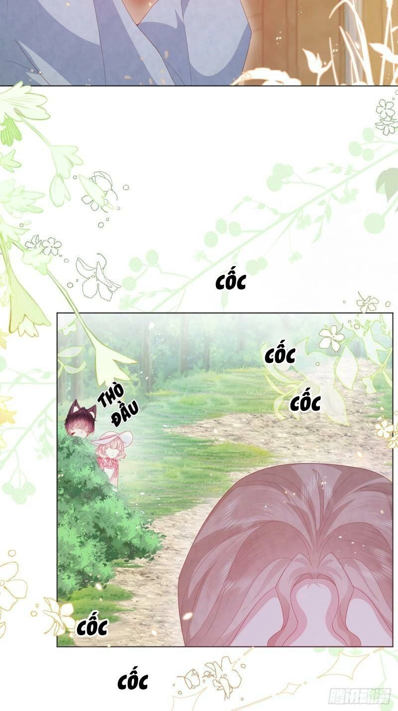 Ninita Yêu Dấu Chapter 22 - 12