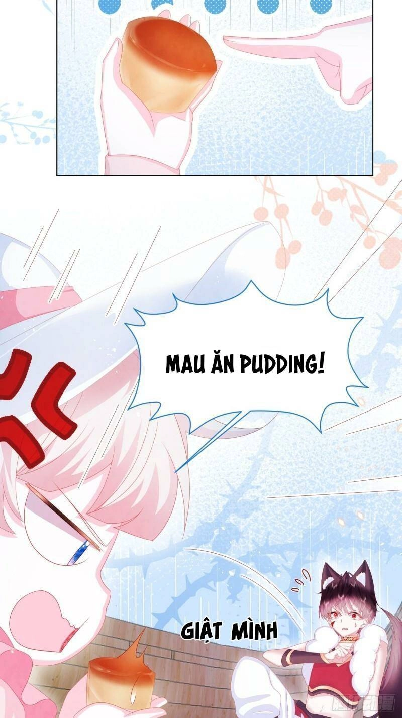 Ninita Yêu Dấu Chapter 22 - 36