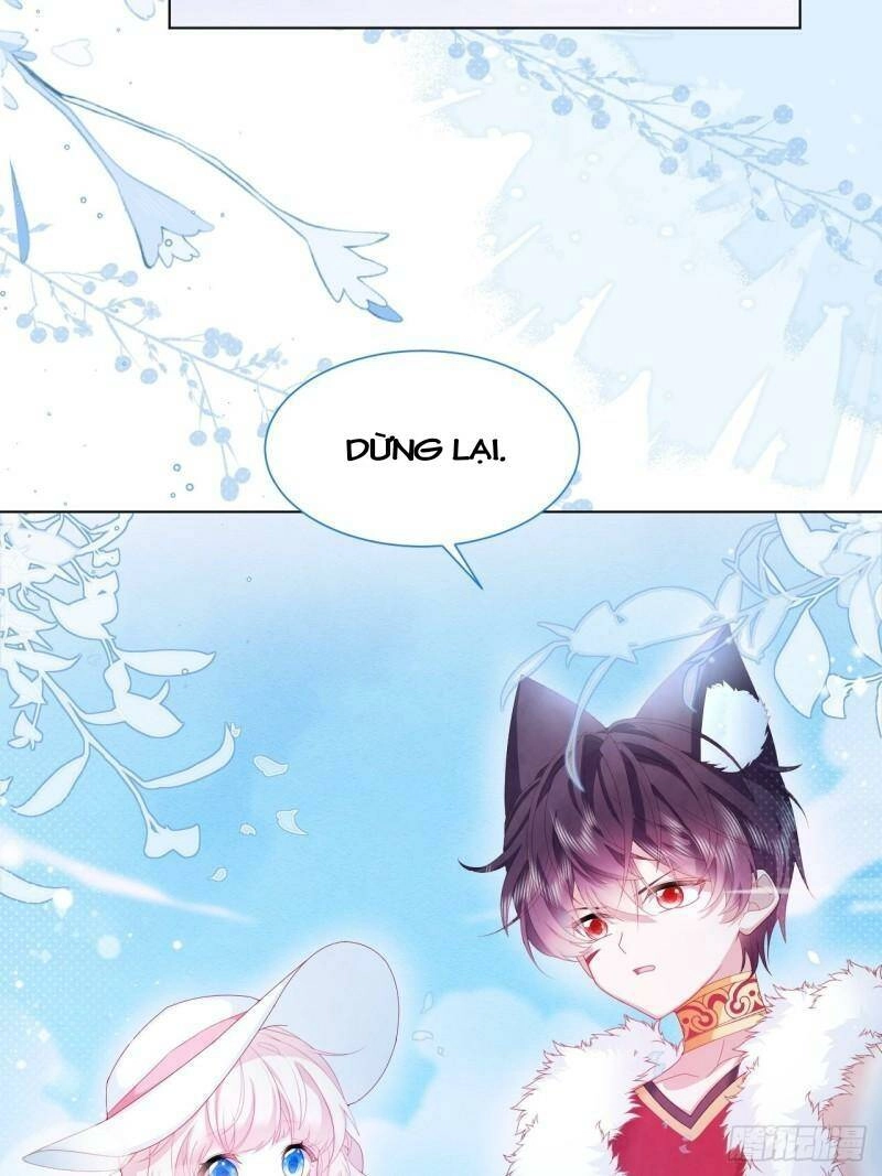 Ninita Yêu Dấu Chapter 23 - 5