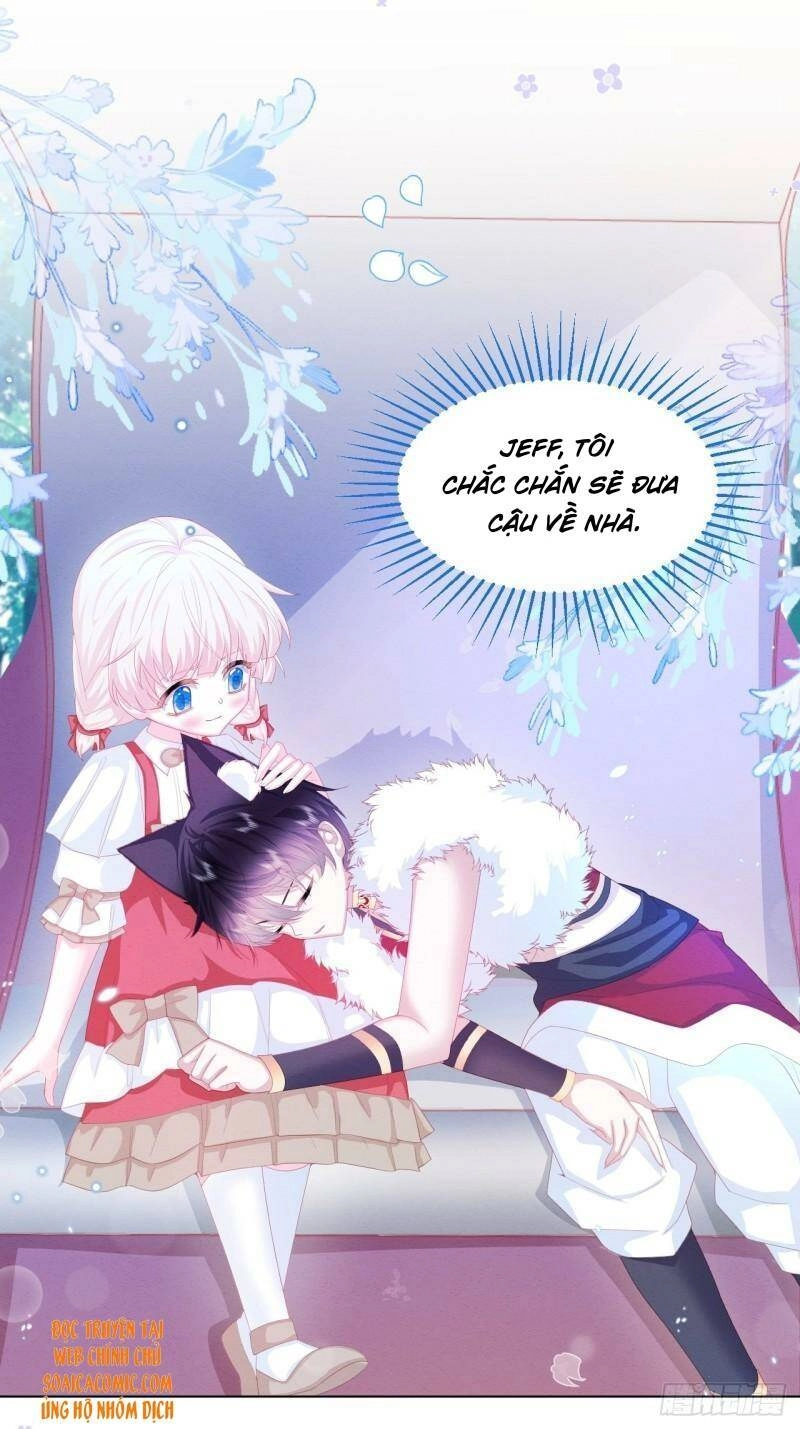 Ninita Yêu Dấu Chapter 31 - 37