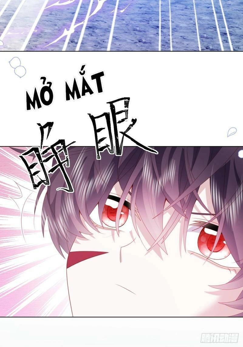 Ninita Yêu Dấu Chapter 32 - 41