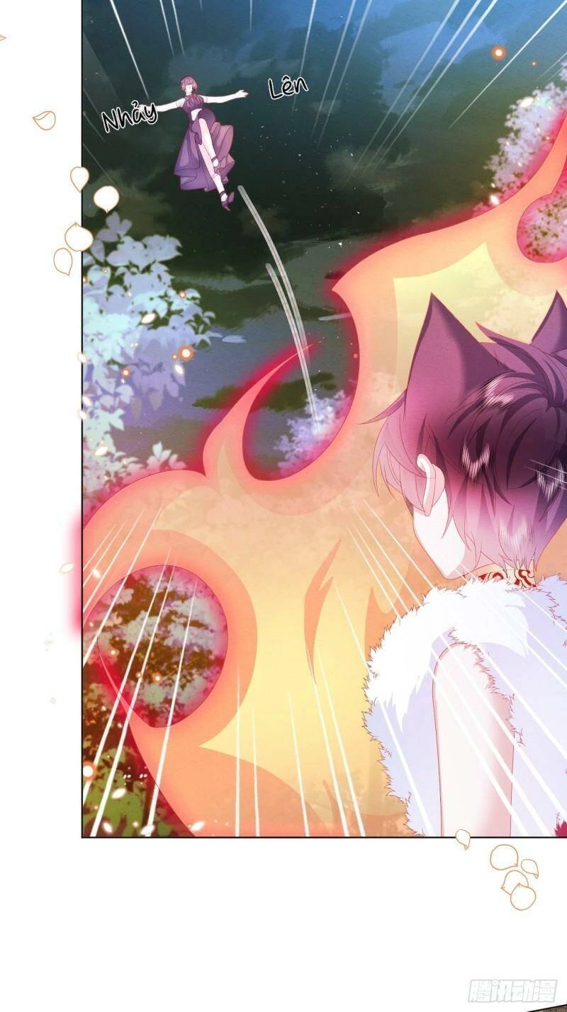 Ninita Yêu Dấu Chapter 33 - 12