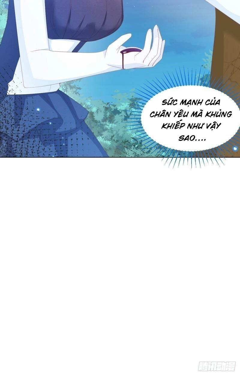 Ninita Yêu Dấu Chapter 33 - 38