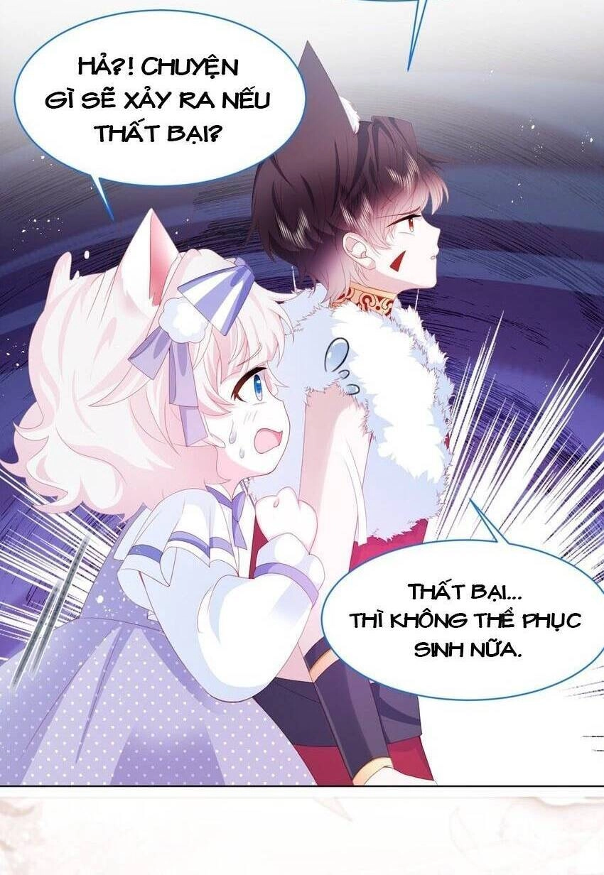 Ninita Yêu Dấu Chapter 37 - 20