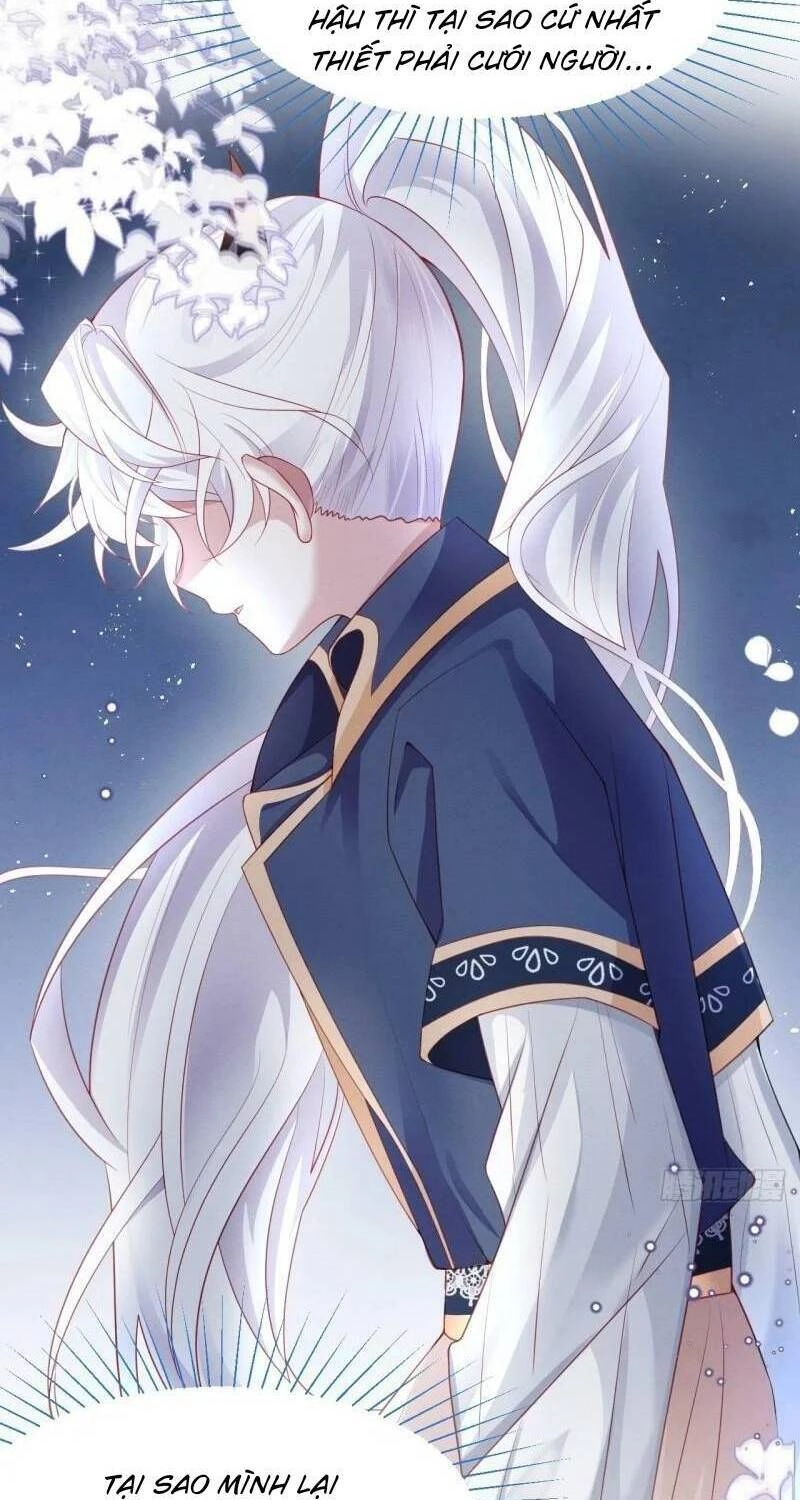 Ninita Yêu Dấu Chapter 41 - 65