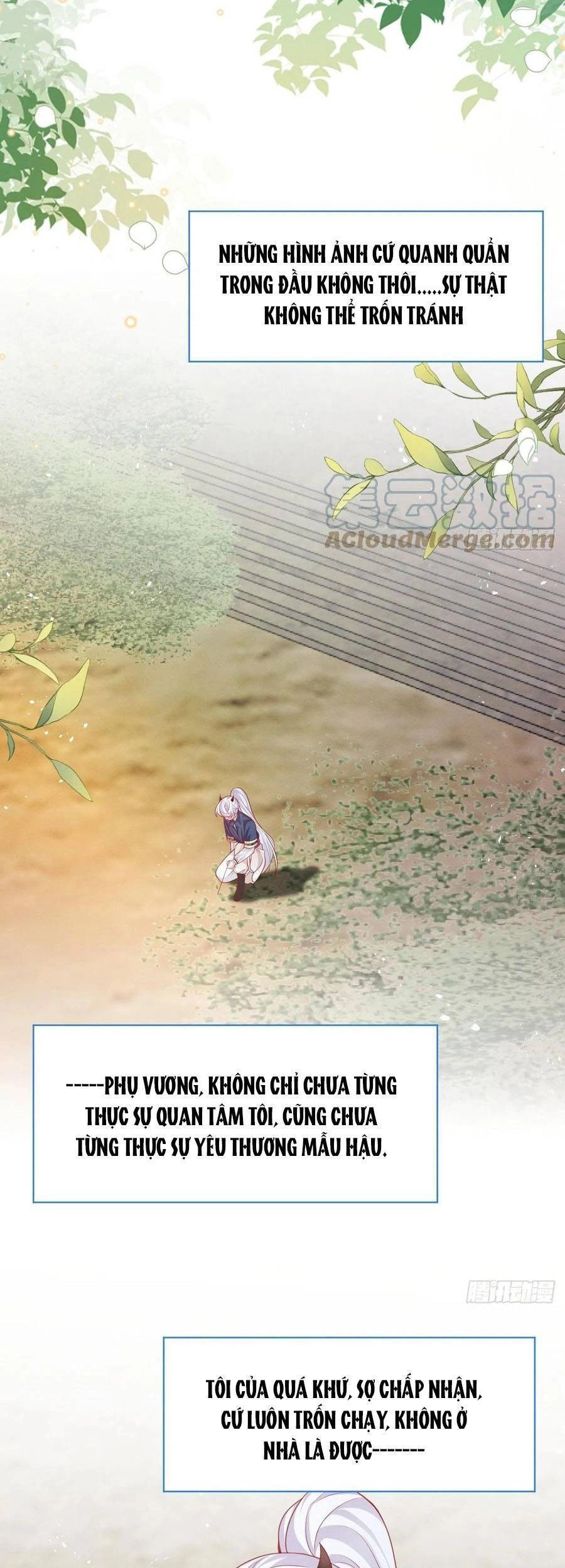 Ninita Yêu Dấu Chapter 43 - 3