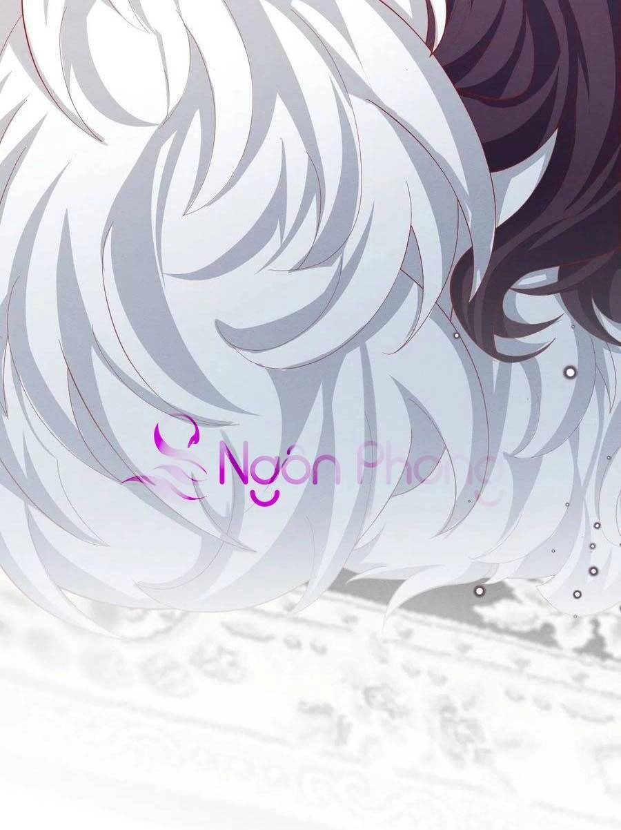 Ninita Yêu Dấu Chapter 43 - 43