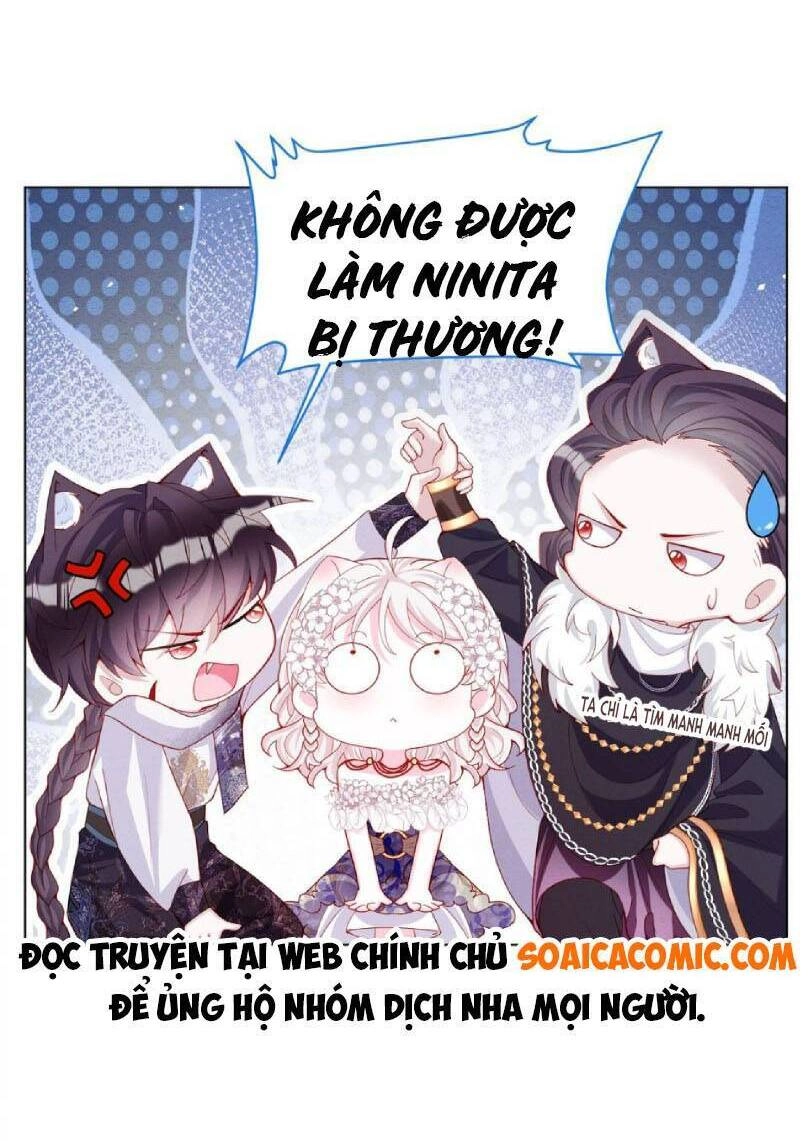 Ninita Yêu Dấu Chapter 47 - 30