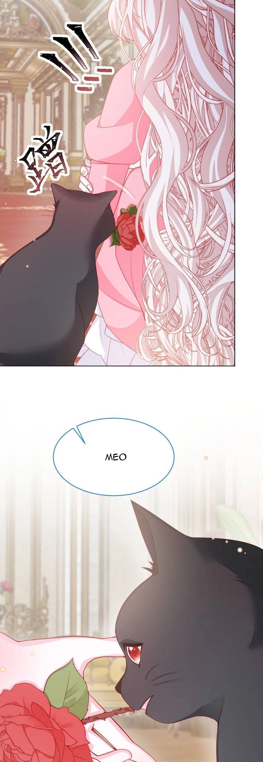 Ninita Yêu Dấu Chapter 54 - 12