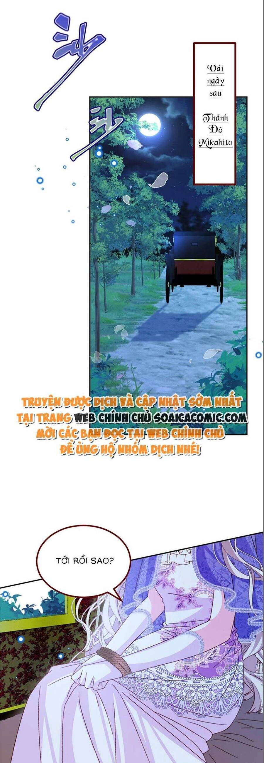 Ninita Yêu Dấu Chapter 77 - 2