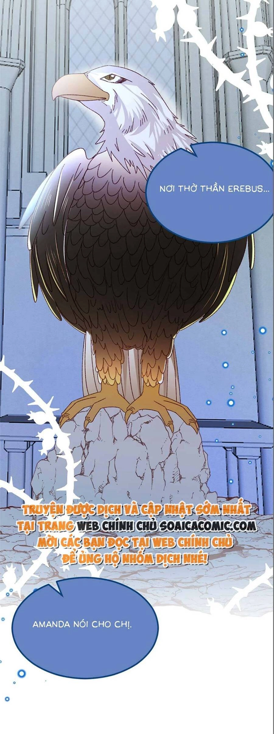 Ninita Yêu Dấu Chapter 77 - 10