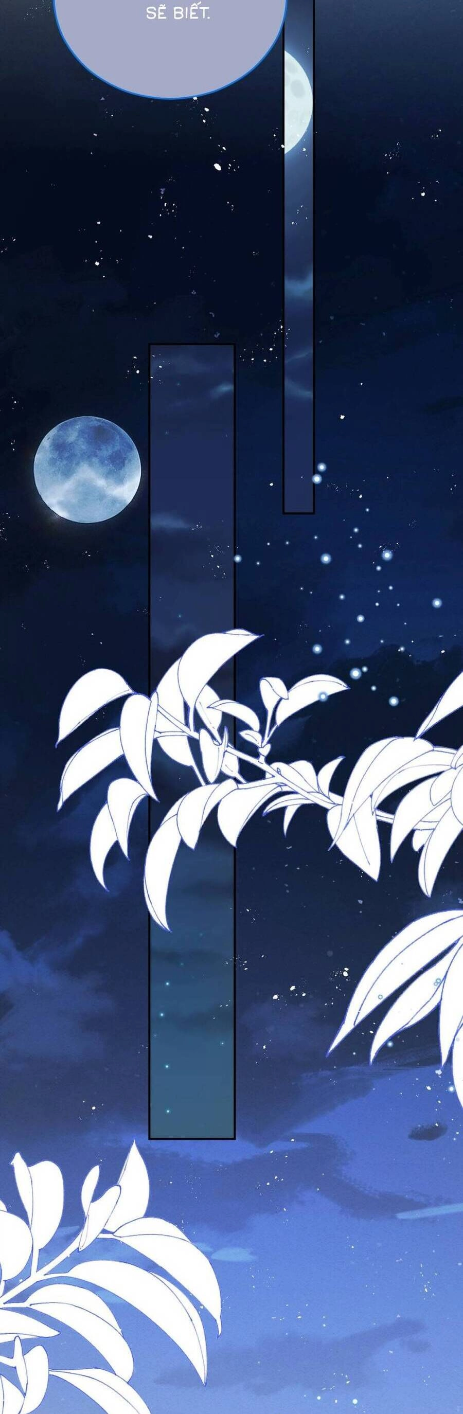 Ninita Yêu Dấu Chapter 78 - 8