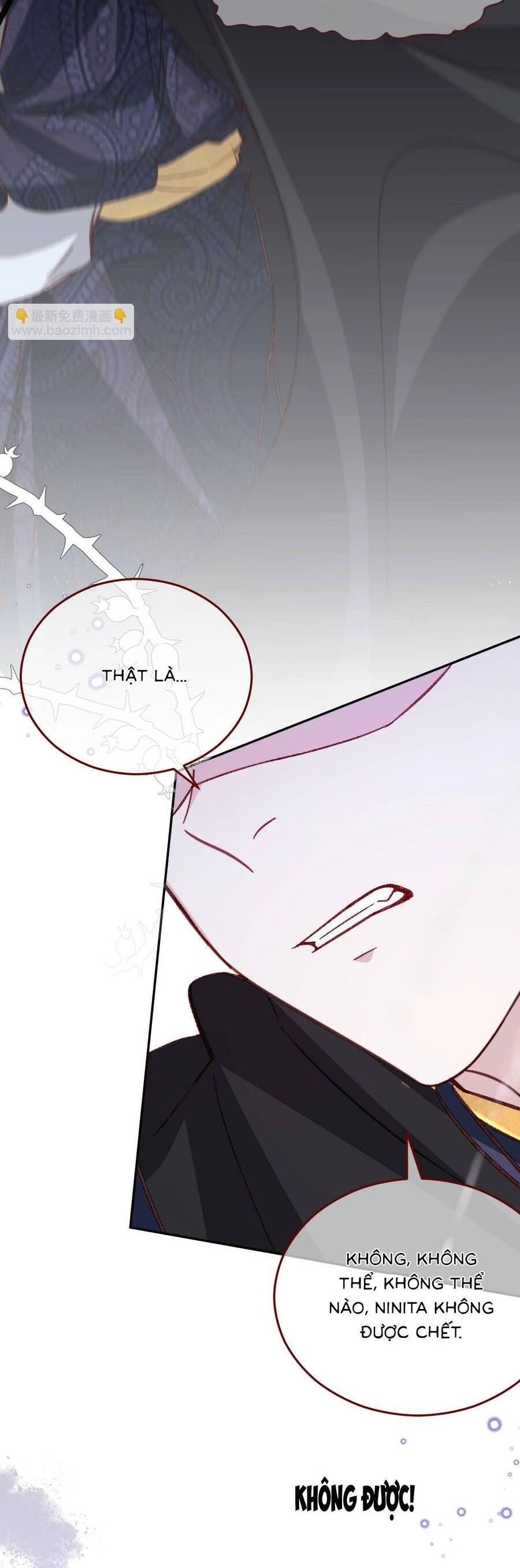 Ninita Yêu Dấu Chapter 81 - 10