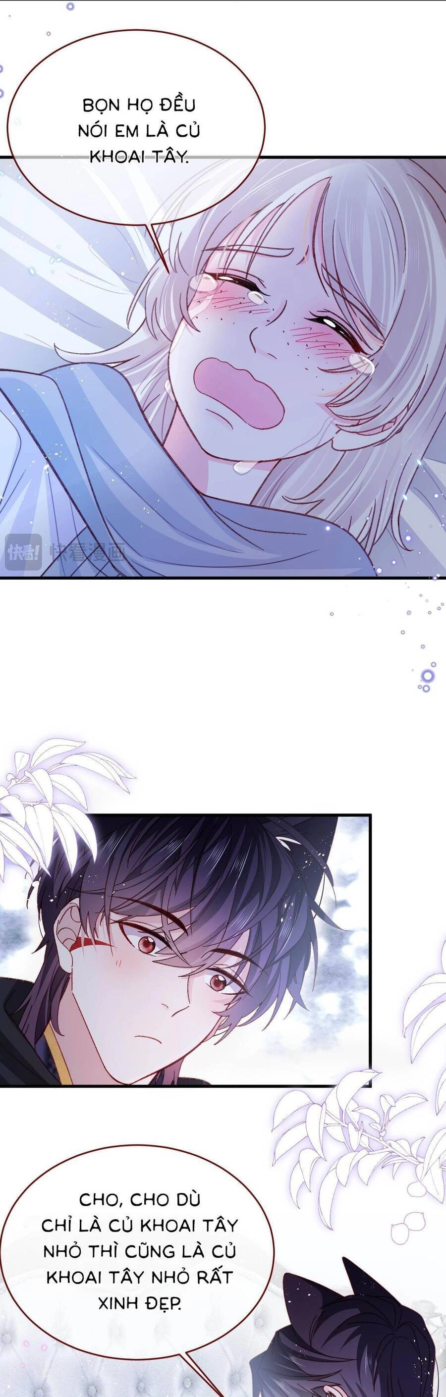 Ninita Yêu Dấu Chapter 85 - 5