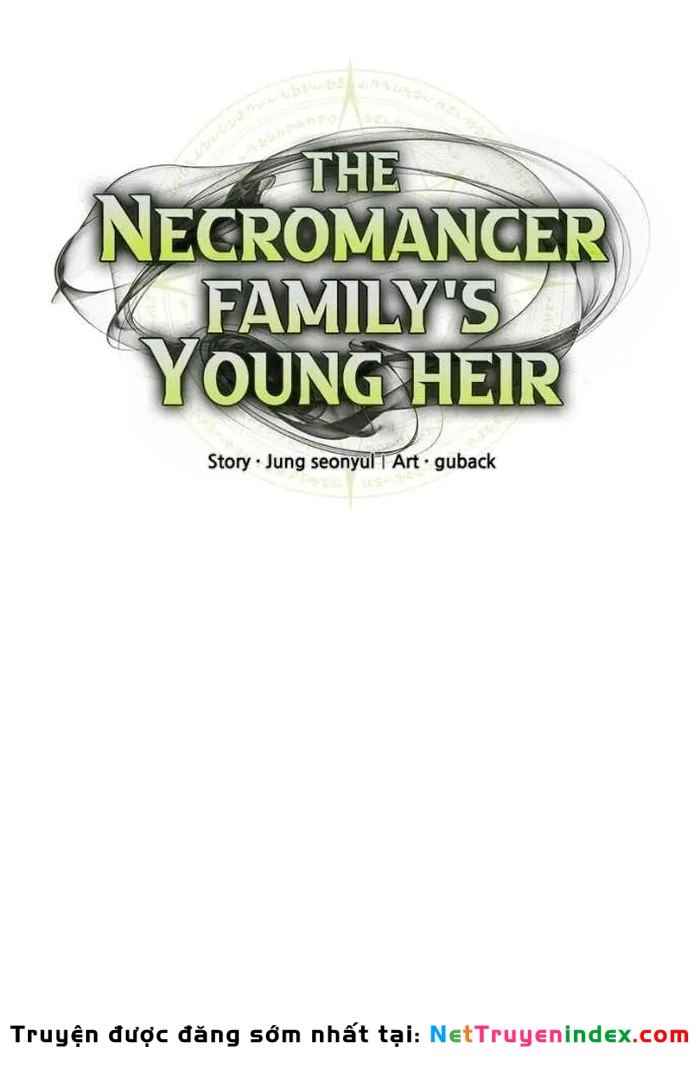 Thiếu Gia Chủ Của Gia Tộc Tử Linh Sư Chapter 50 - 25