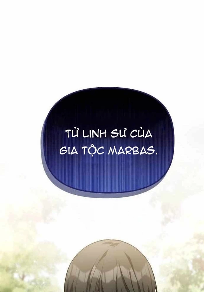 Thiếu Gia Chủ Của Gia Tộc Tử Linh Sư Chapter 51 - 120